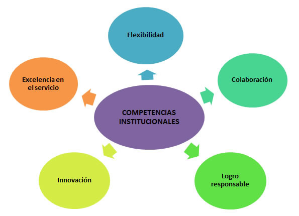 diagrama-competencias-institucionales.jpg
