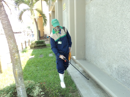 fumigaciones.jpg